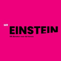 mr einstein